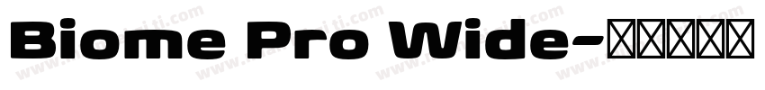 Biome Pro Wide字体转换